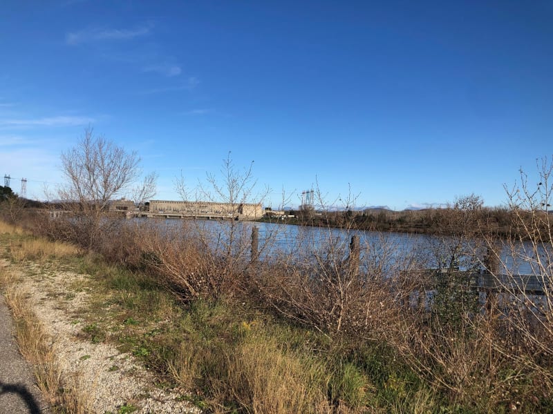 Balade au Lac de grande île à Châteauneuf du Rhône - Châteauneuf du Rhône