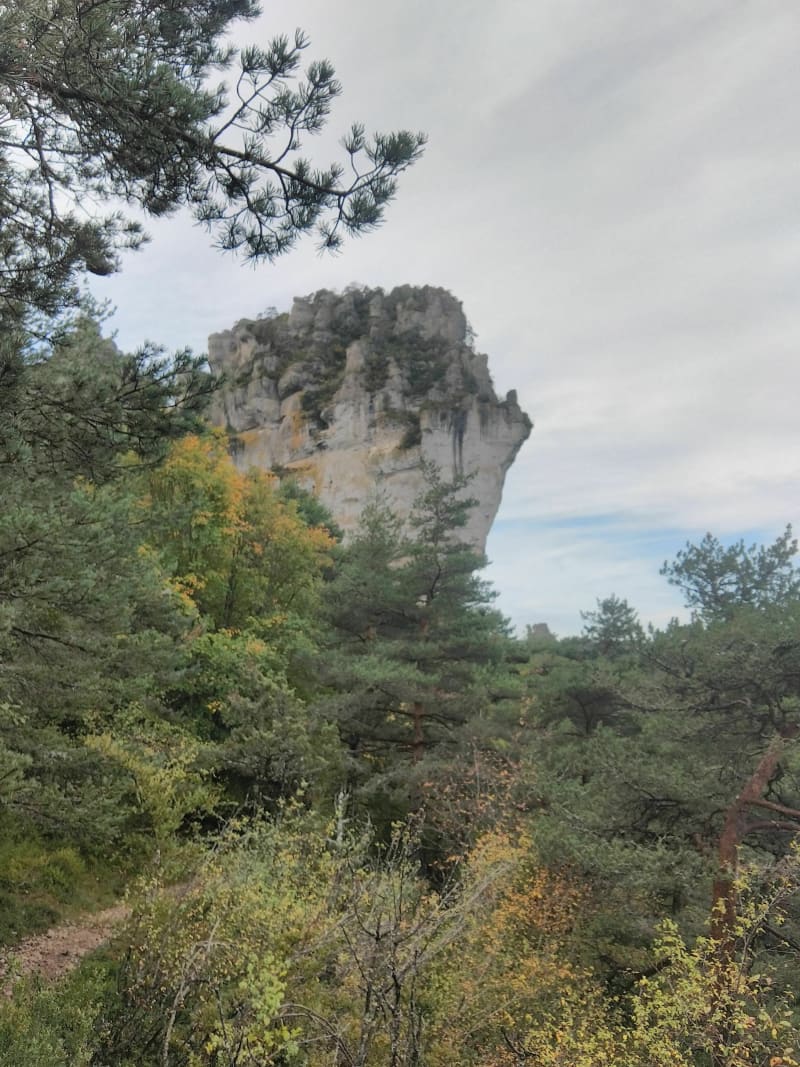 Trail des sorcières autour du Mont Chauvin - Mâlain