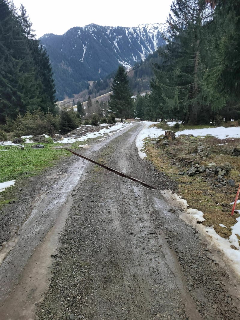 Balade en beaufortain et nature préservée - Areches