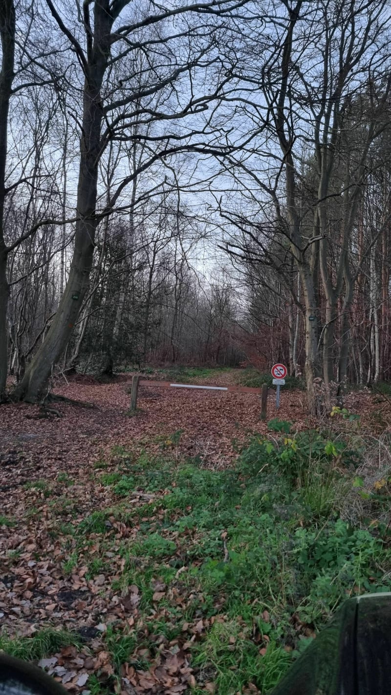 Forêt de Sahur et les Treize Chênes - Canteleu