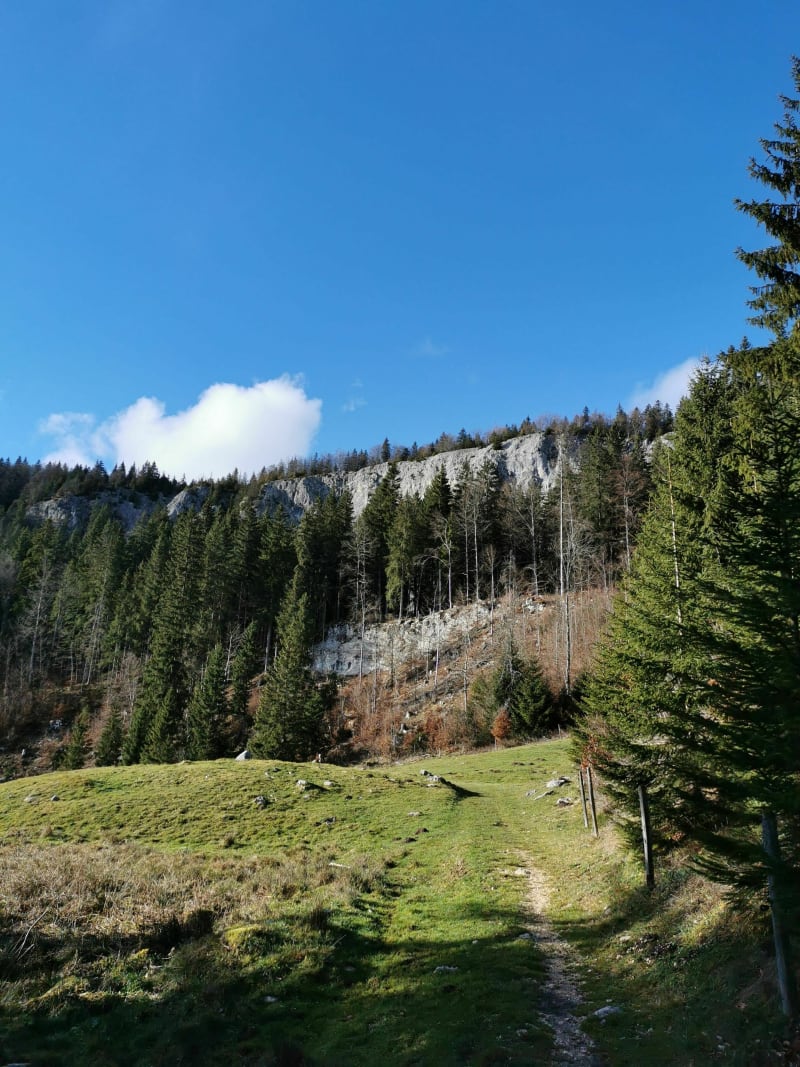 Petite boucle du creux (Bois-d'Amont) - Bois-d'Amont