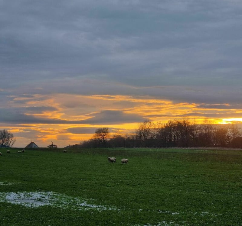 Dans les champs autour de Haguenau - Haguenau