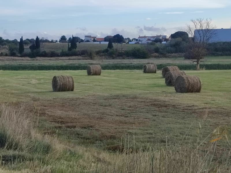 Autour de Saint-Nazaire et la Fossella - Saint-Nazaire