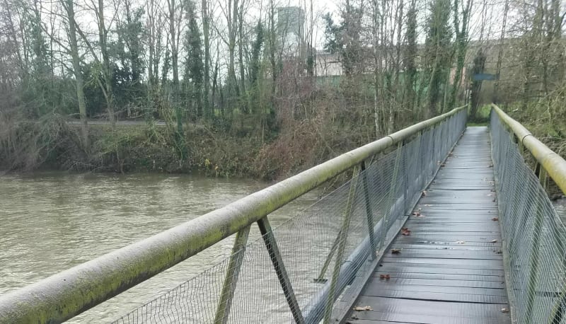 Promenade le long de la Sarthe - Montbizot