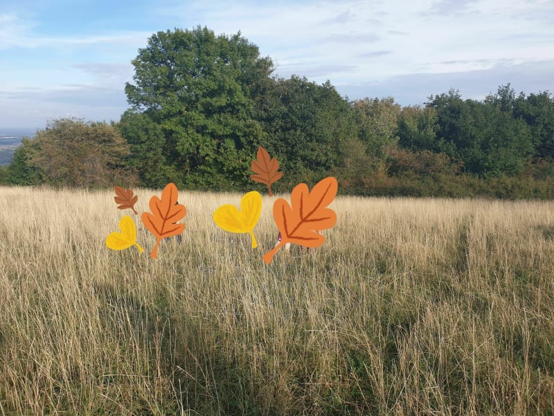 Tour de la forêt de la déchetterie à Rillieux-la-Pape - Rillieux-la-Pape