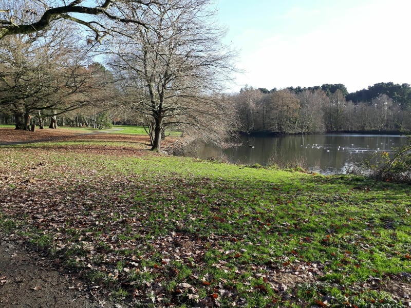 Saint Laurent, les Gayeulles et Parc des Bois - Rennes