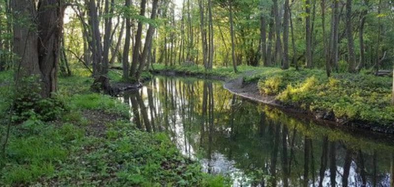 Bâillon sous la pluie - Asnières-sur-Oise