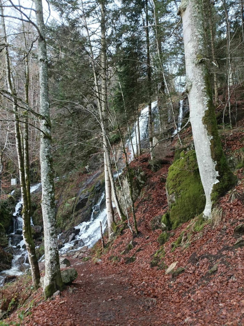 Cascade du Hohwald en allé et retour - Le Hohwald