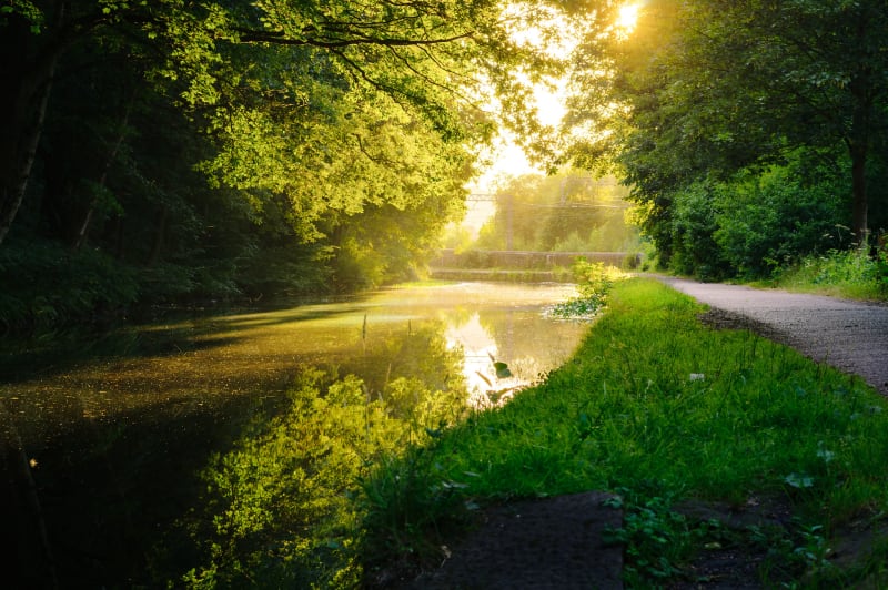 Bord du canal de l'Ourcq à Meaux - Meaux