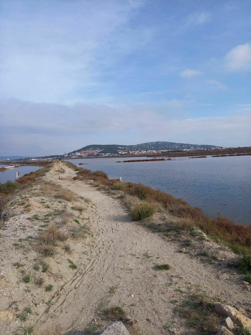 Les marées de Villeroy-Sète - Sète