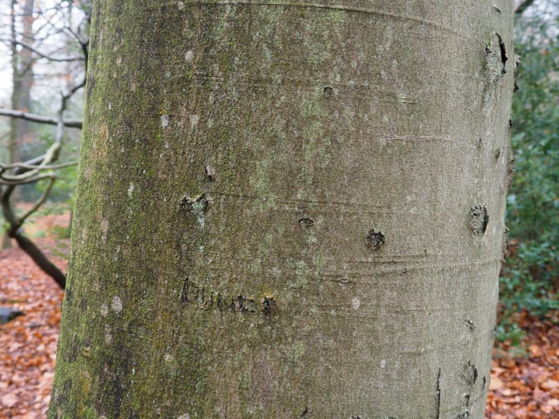 Boucle coulée verte - Auxerre