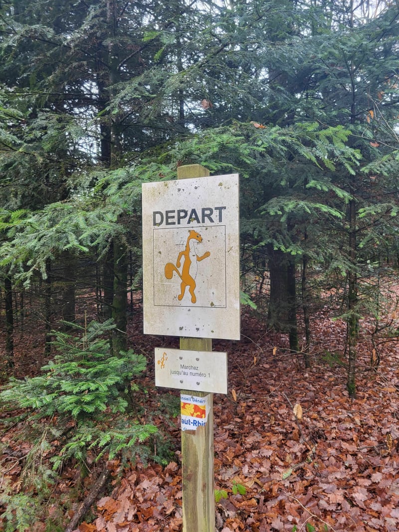 Circuit Parcours Santé en Forêt de Soultz - Jungholtz