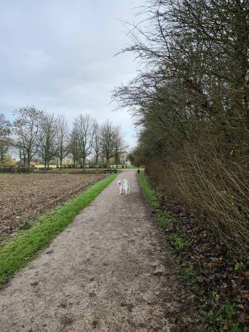 Parc de la Deule - Wavrin