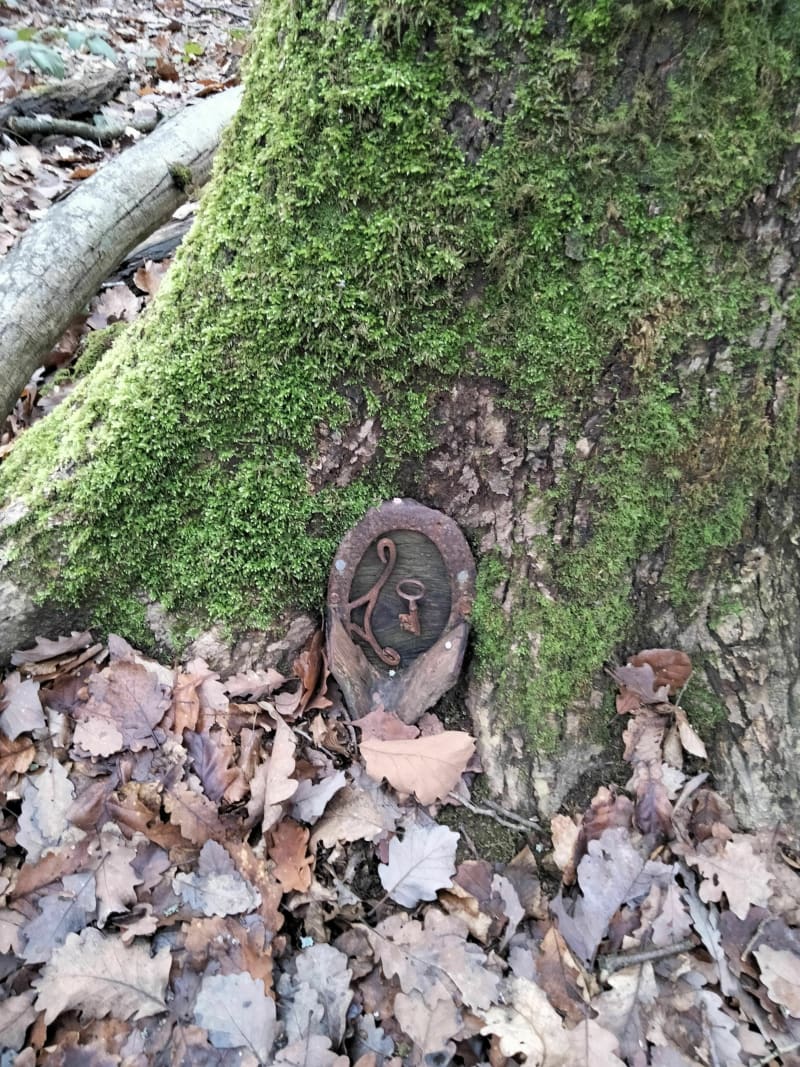 Petite boucle dans les bois d'Alix - Anse
