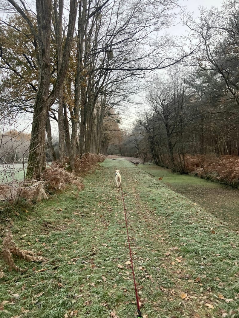 Le sentier des contrebandiers à Lorris. (variante) - Lorris