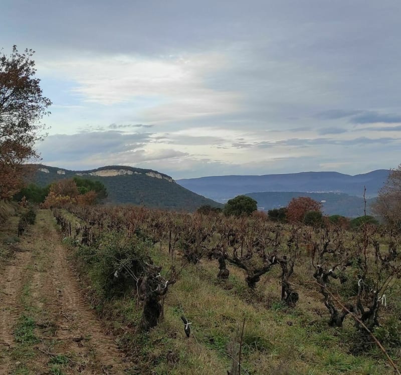 Mas Blanquet - Saint-André-d'Olérargues