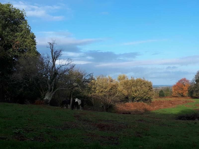 Circuit de la Montjoie à Blond - Blond
