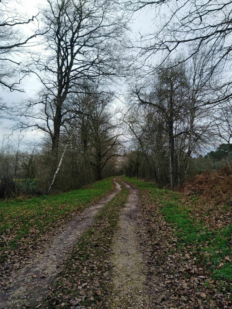 Balade au grand air - Sainte-Gemme