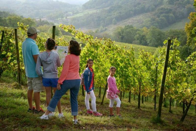 Sentier Vigneron au Puech Redon - Brissac