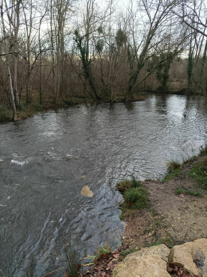 Le Moulin Vert - Migné-Auxances