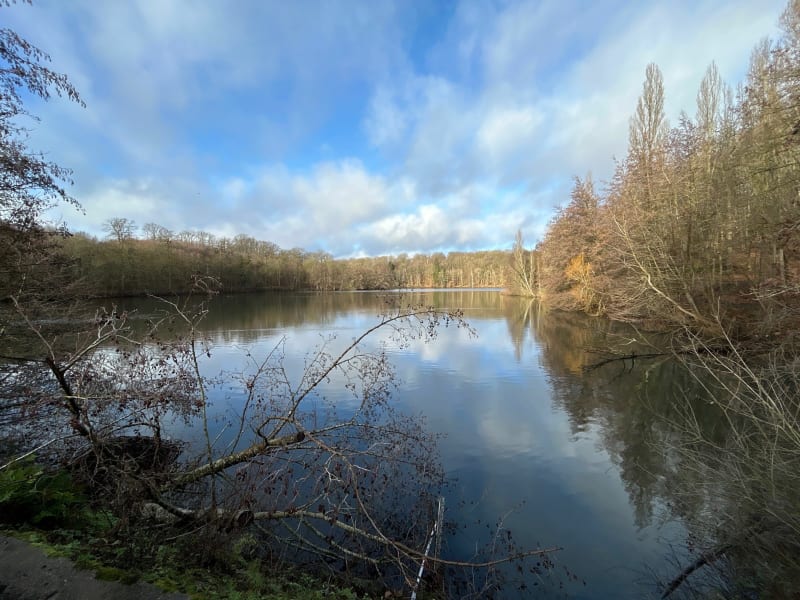 Randonnée autour des étangs de la Minière à Guyancourt - Guyancourt