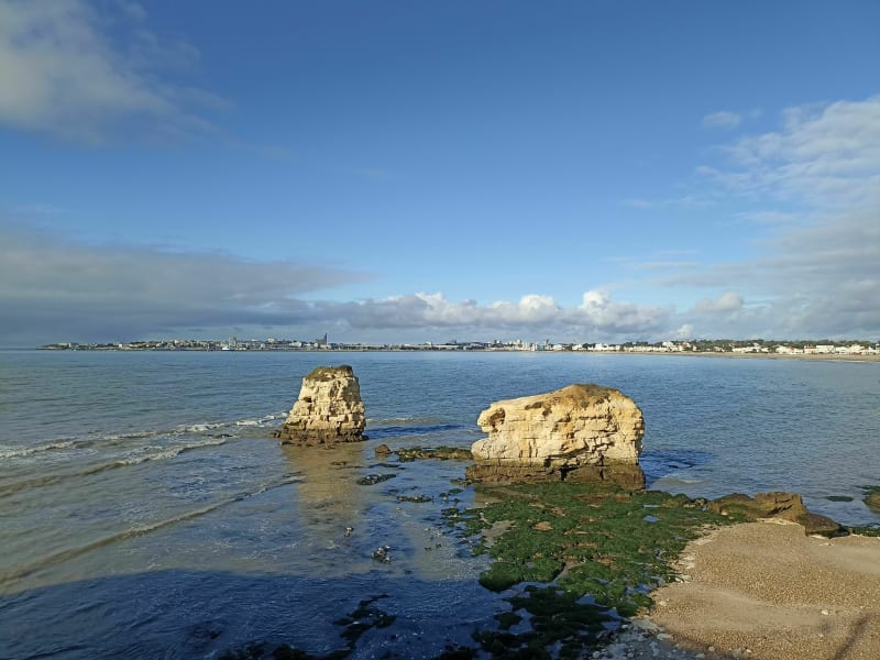 Royan Accrobranche de Saint-Georges de Didonne par la côte - Royan
