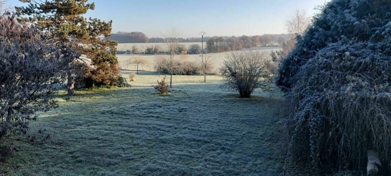 Balade forestière à la Garenne - Tannerre-en-Puisaye