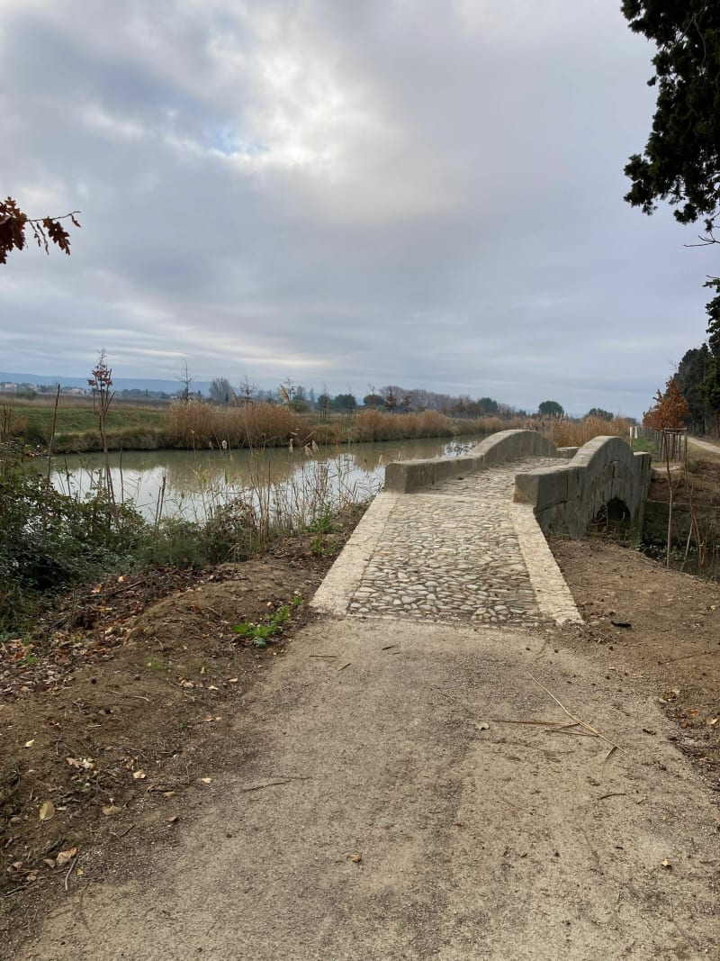 Balade autour du canal du midi - Saint-Nazaire-d'Aude
