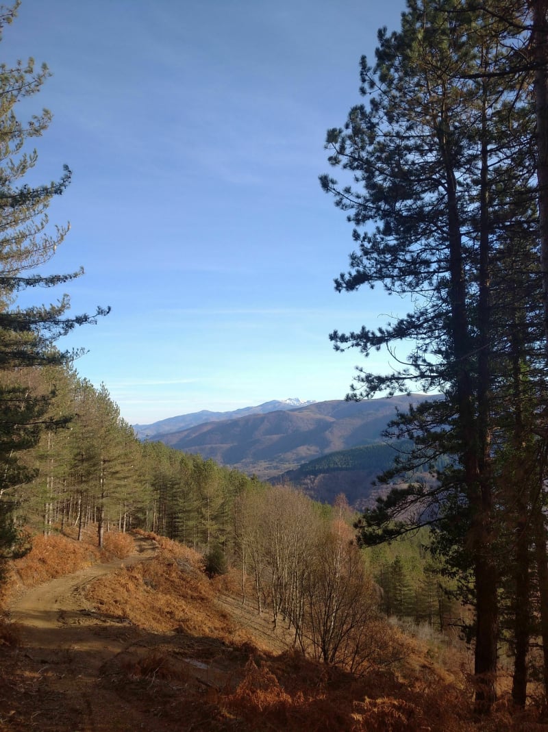 Randonnée en forêt d'Alzen - Alzen