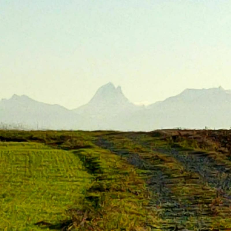 Le petit tour du Luy de Béarn - Lons