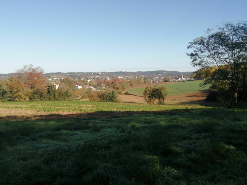 Balade à Sainte-Suzanne (cclo n°38) - Orthez