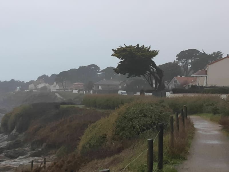 La côte de Prefailles - La Plaine-sur-Mer