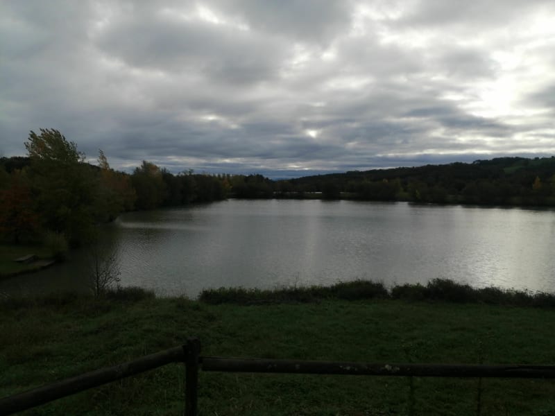 Les lacs des Barthes de Biron - Sarpourenx