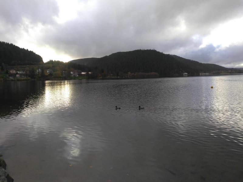 Place du Vieux Gérardmer et son lac - Gérardmer