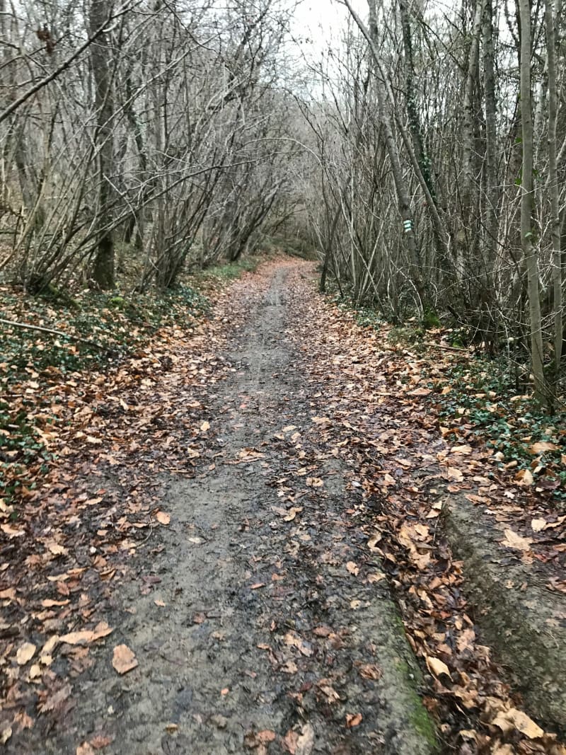 Petite balade sur le chemin blanc de Sauveterre - Sauveterre-de-Comminges