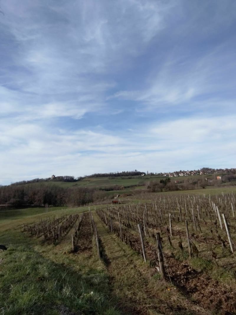 Les Roches Aigues dans le Bois de Rosnay - Lavigny