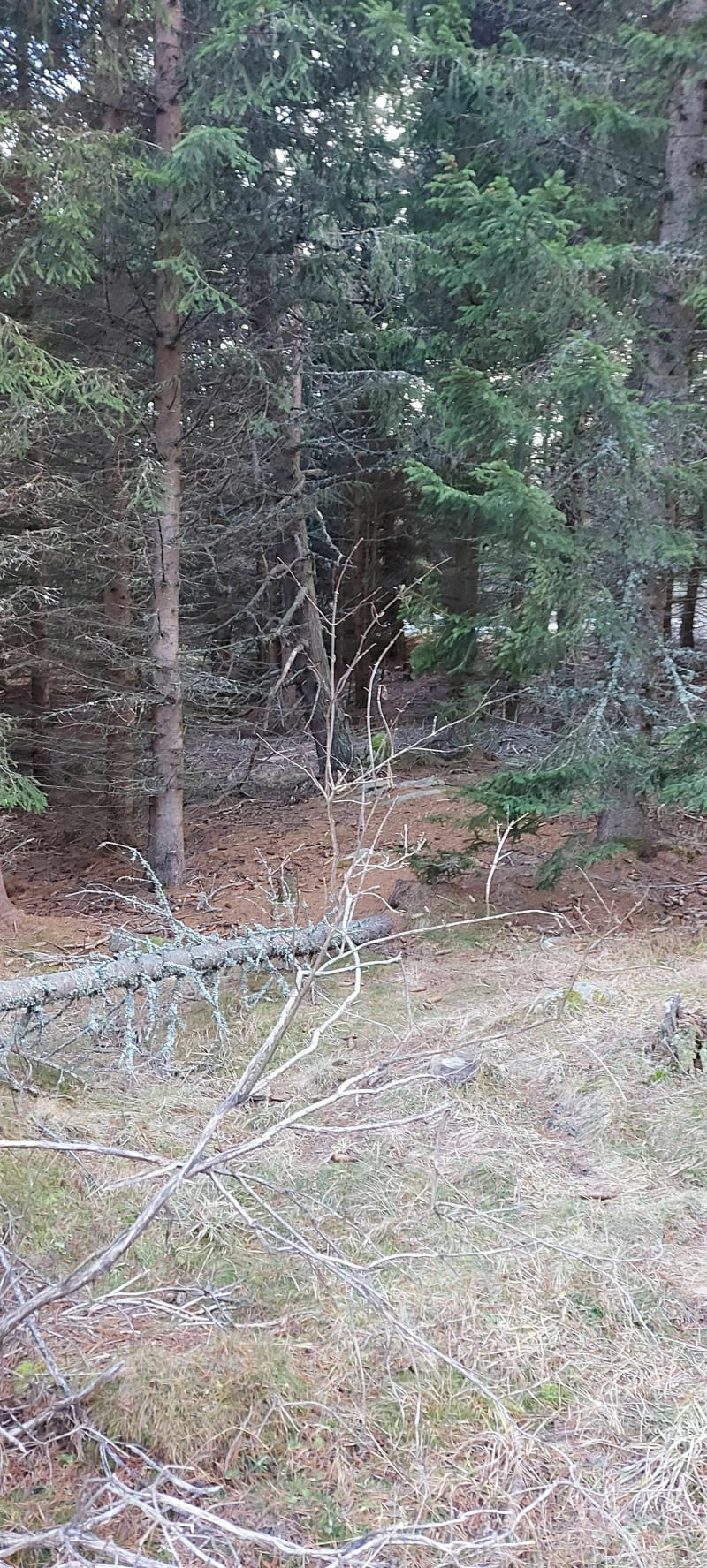 Belle balade au refuge de Fornels - Bolquère