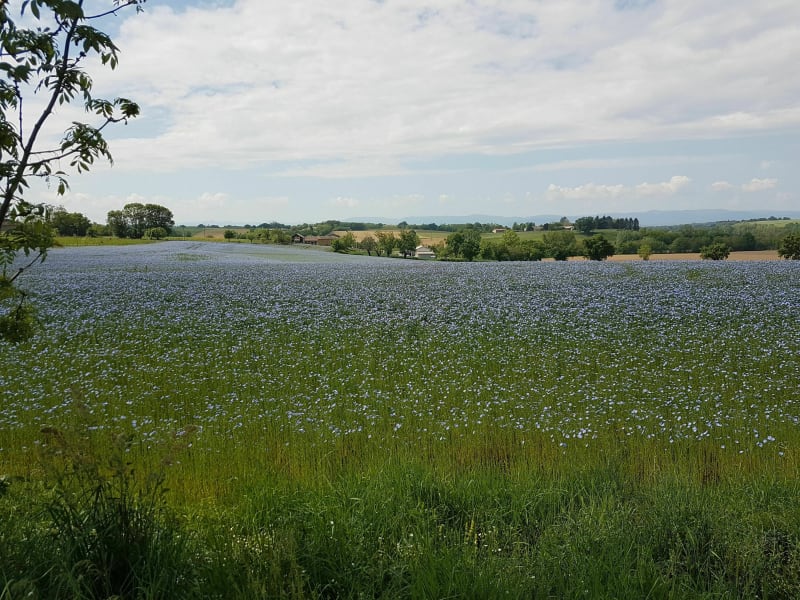 Clémenciat - L'Abergement-Clémenciat