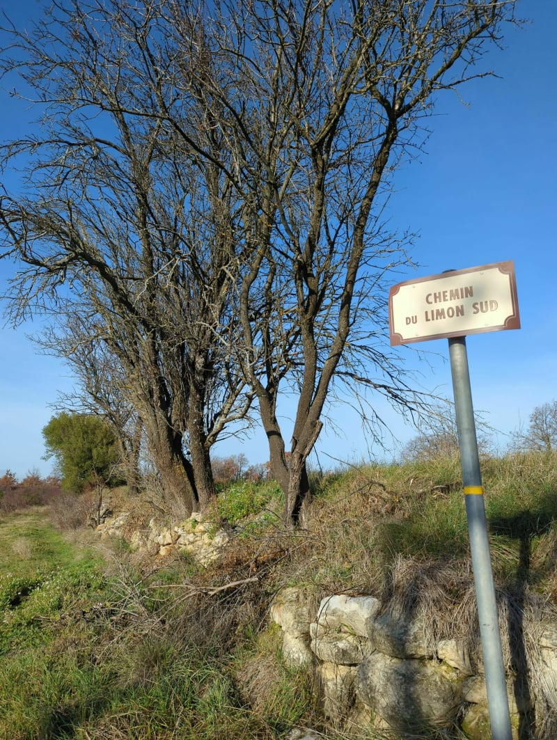 Randonnée à Mormoiron - Mormoiron