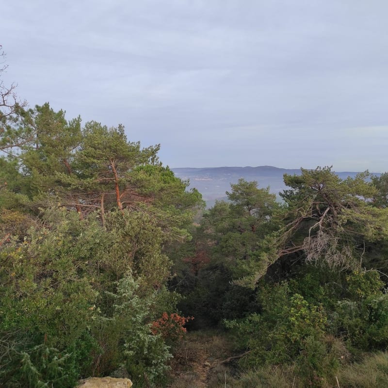 Très jolie rando sur Sabran - Sabran