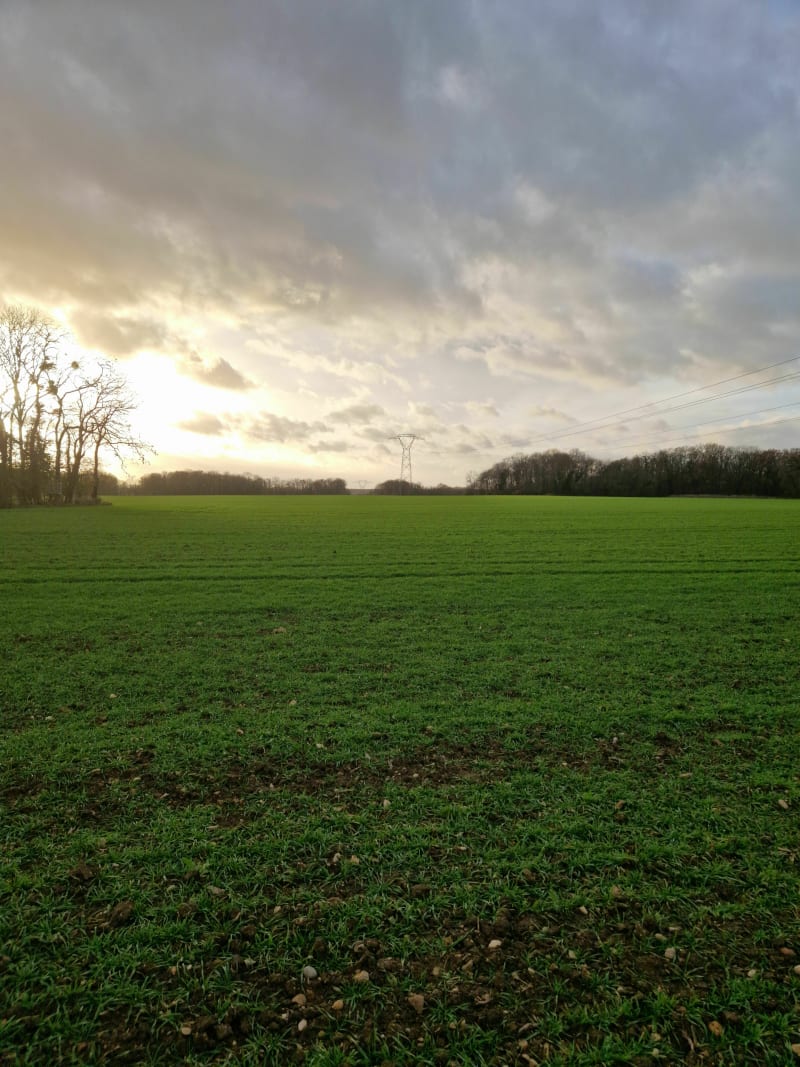 Balade dans les hauts de Monchy - Monchy-Saint-Éloi