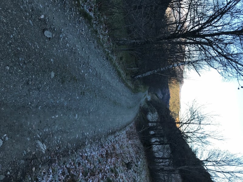 Cabane du Jas depuis la chèvrerie d’Oris - Otis en Ratier