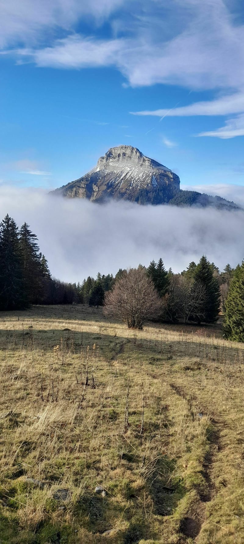 Roc d'Arguille par le col du Coq - Plateau-des-Petites-Roches