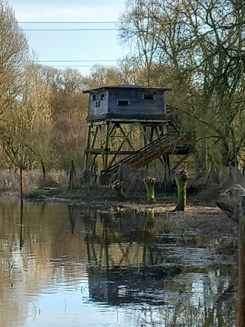 Marais de Bonnance. - Péronne-en-Mélantois