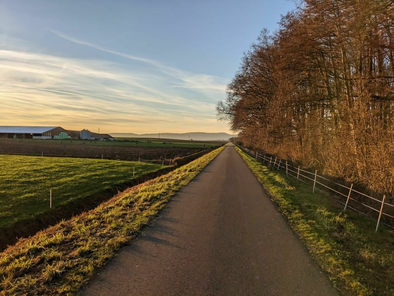 Petite Bienwald transfrontalière - Wissembourg