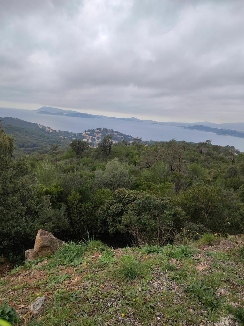 De Toulon vers la Colle Noire et le Baou Rouge - Toulon