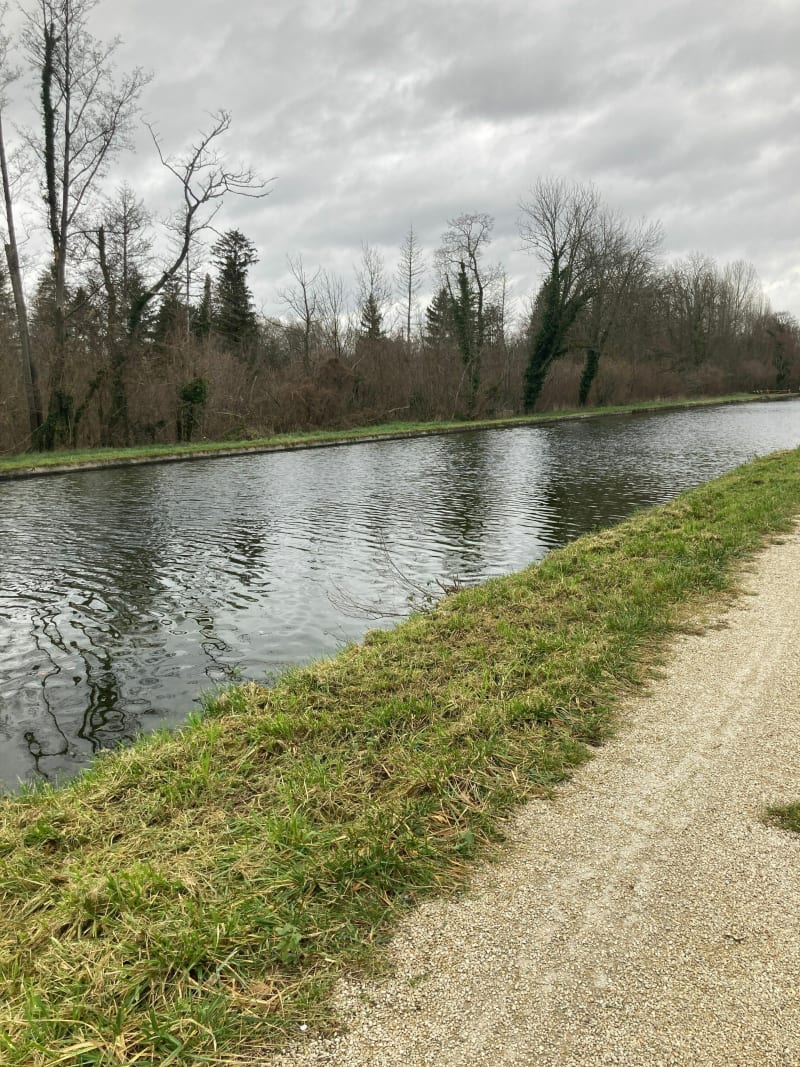 Promenade au bord du canal du Loing - La Genevraye