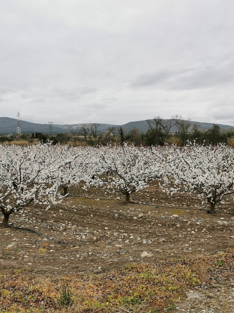 D'Espira-de-l'Agly au village de Peyrestortes - Espira-de-l'Agly