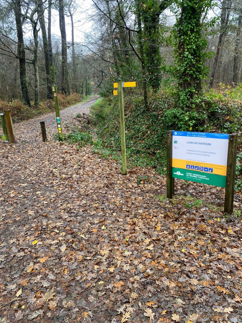 Promenade dans le bois de lann ar warem - Trebeurden