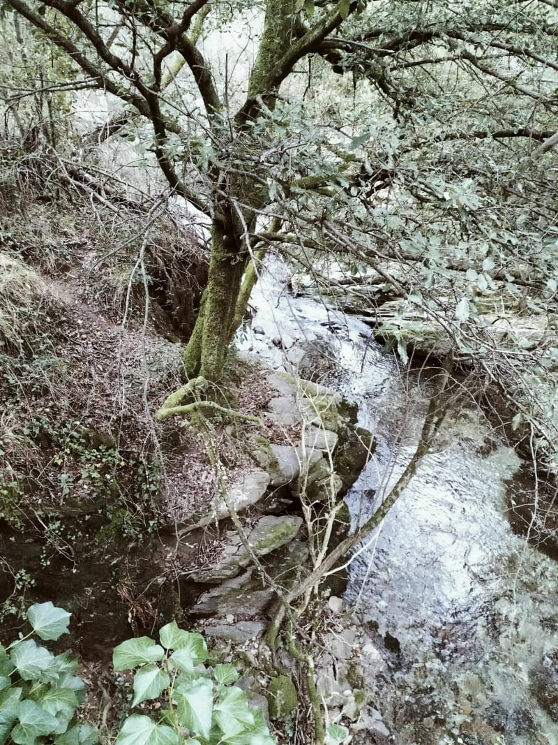 Petit trail boueux autour de Faugères - Faugères